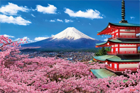 Tour Nhật Bản 4N4Đ: Tokyo - Yamanashi - Núi Phú Sĩ - Aeon Mall Narita