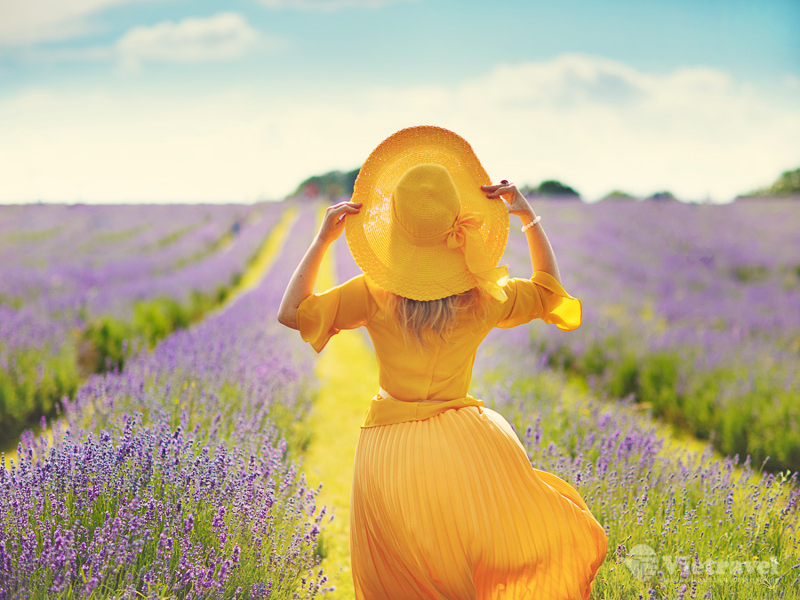 Nam Âu: Pháp – Monaco – Tây Ban Nha – Bồ Đào Nha (Mùa hoa Lavender)